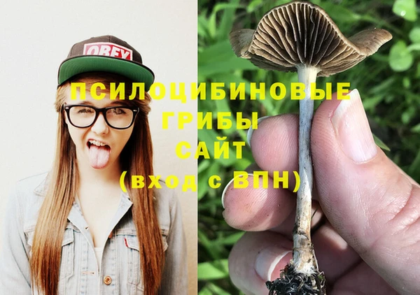 Альфа ПВП Пестово