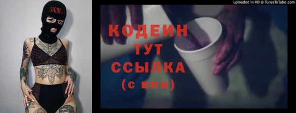 прущие грибы Алексеевка