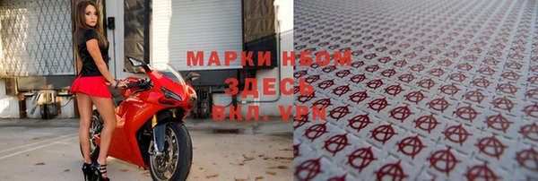 прущие грибы Алексеевка