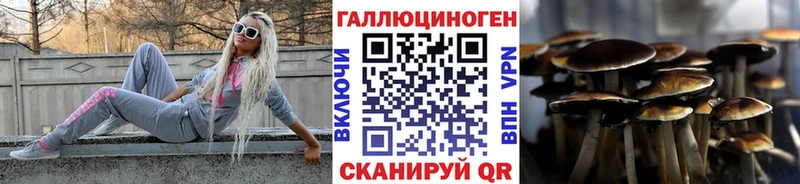 как найти закладки  Кувшиново  Галлюциногенные грибы Cubensis 